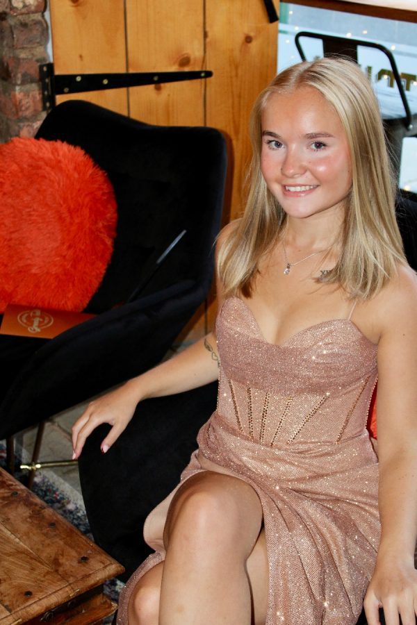 Fitted corset bodice gown, with wrap skirt and leg split detail head to toe glitter!