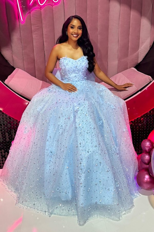 To the nines TNP248 full a-line ballgown, strapless dress with sparkle layer, beading, embellishments and 3D floral appliqués. Detachable bow on back, along with corset fastening